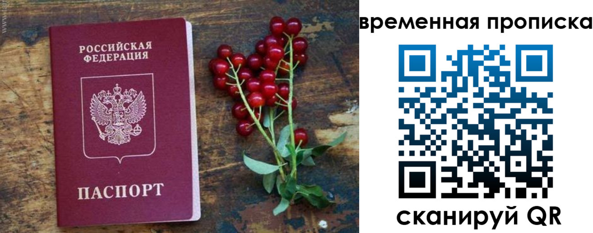 временная регистрация гарантия в Хотьково